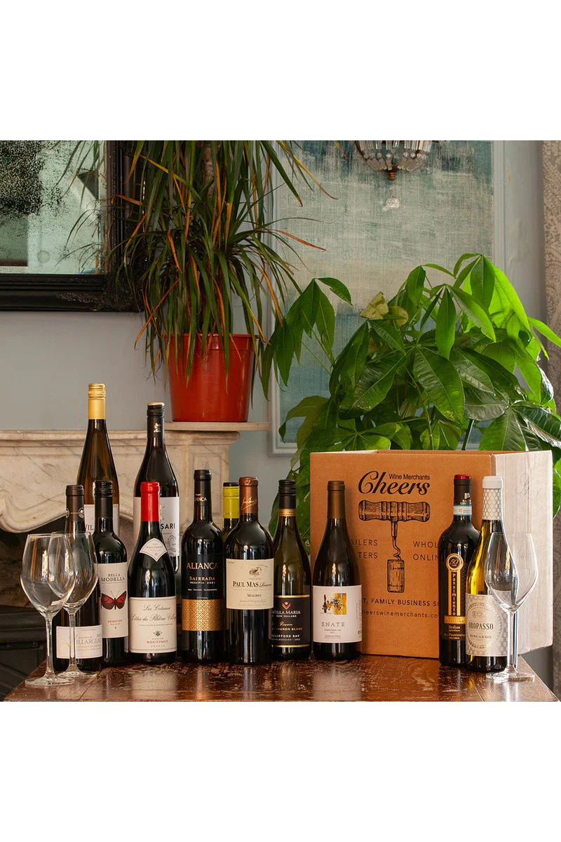Cheers Wine Club Great Value Case