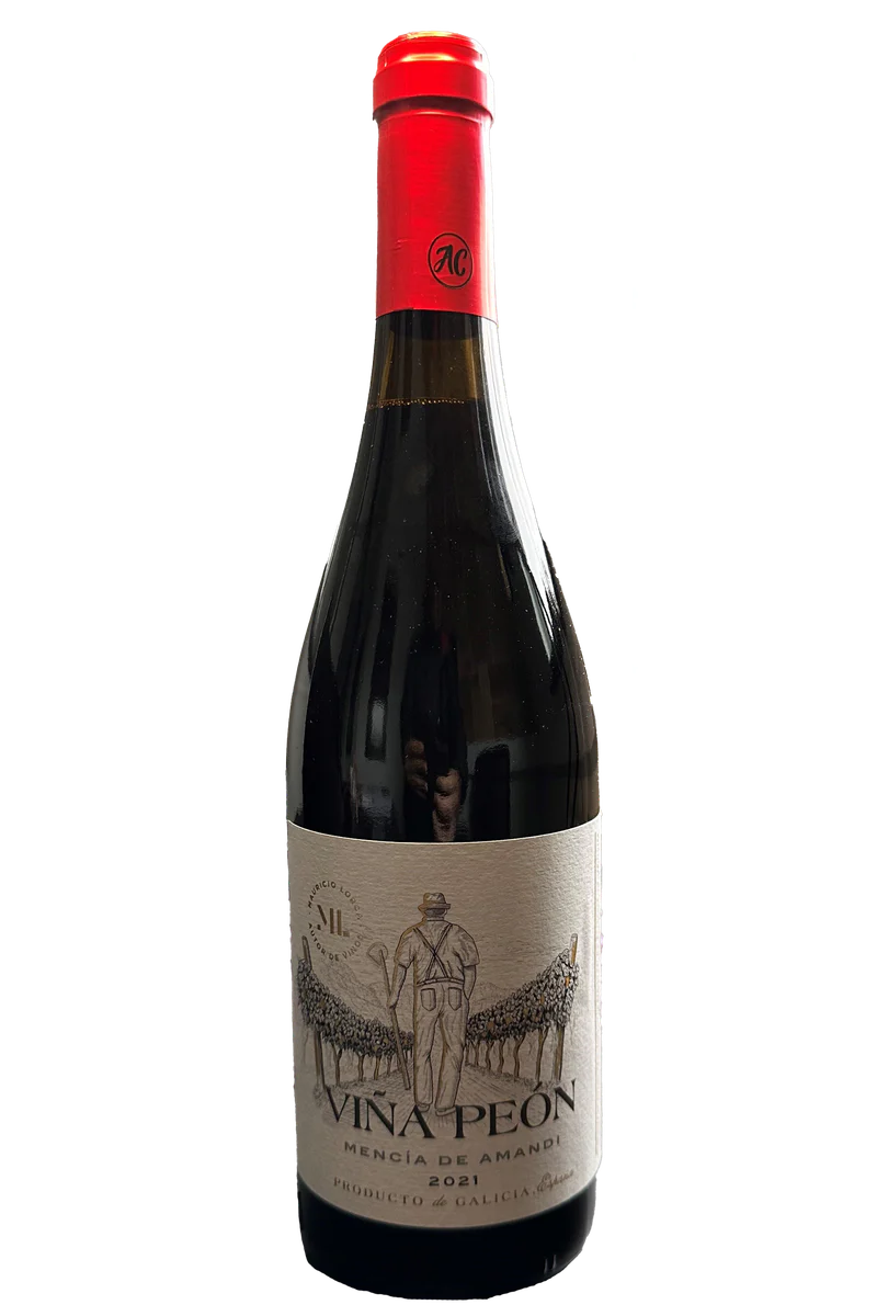 Mauricio Lorca Vina de Peon Mencia de Amandi