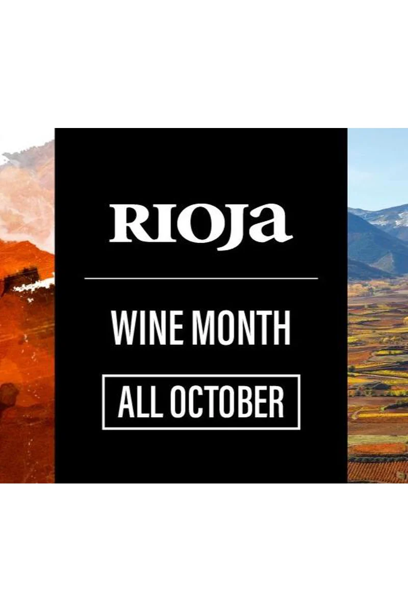 Wines of Rioja Mixed Case - Image 2